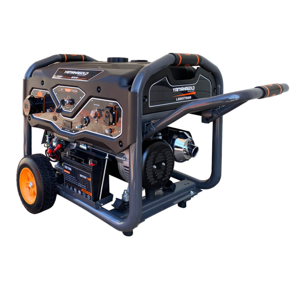 موتور برق یاماها گلد مدل LS9375EB