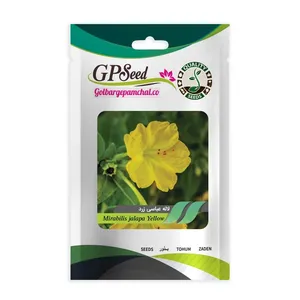بذر گل لاله عباسی زرد جی پی سید مدل GP557