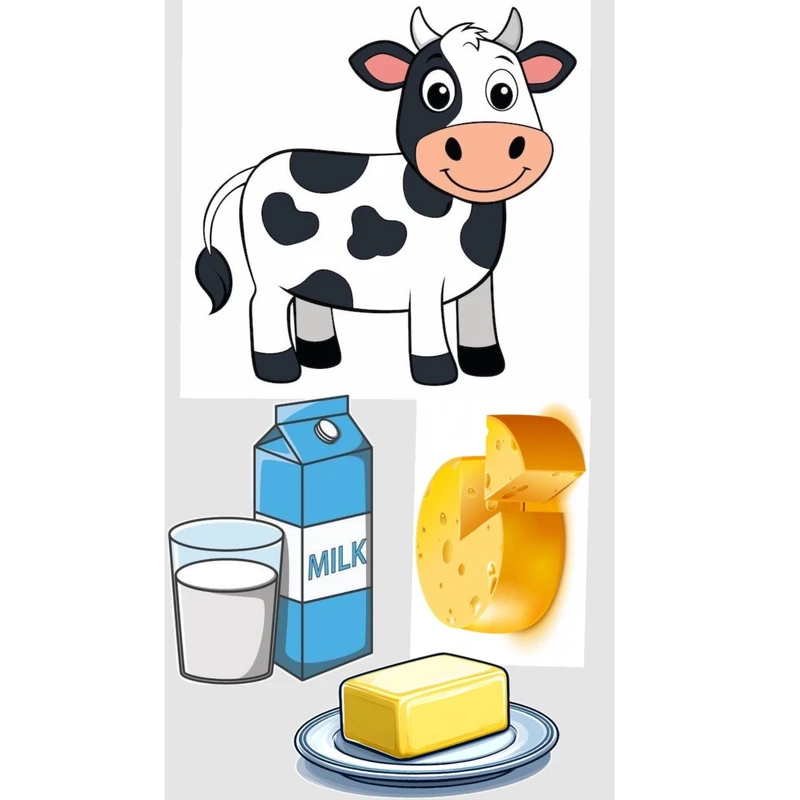 برچسب طرح گاو و پنیر کد 719 مجموعه 4 عددی