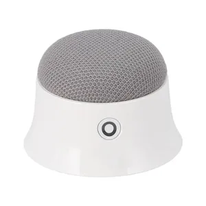 اسپیکر بلوتوثی پاوا مدل Mag Beats Mini 