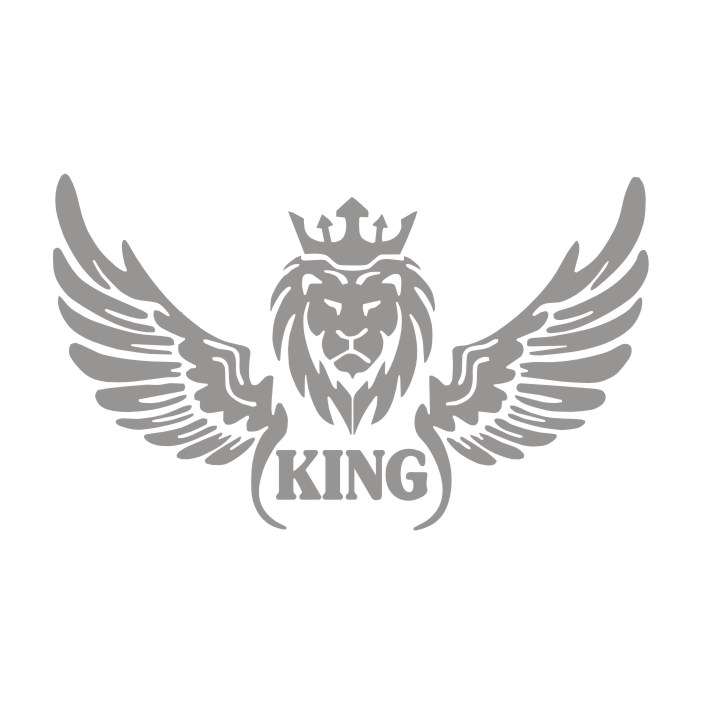 برچسب بدنه خودرو مدل شیر بال کد NG2