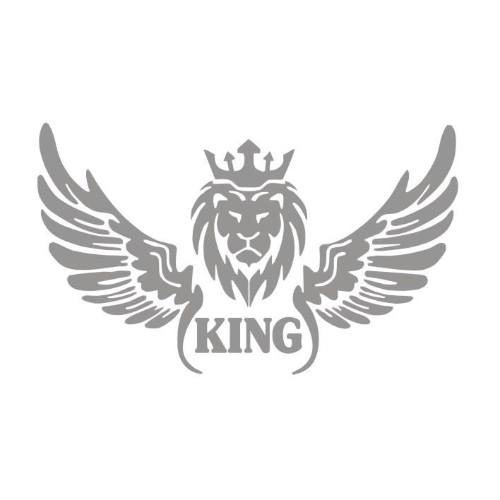برچسب بدنه خودرو مدل شیر بال کد NG2
