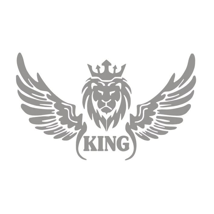 برچسب بدنه خودرو مدل شیر بال کد NG2