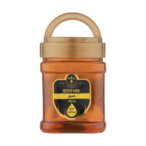 عسل چند گیاه به نیک - 550 گرم 