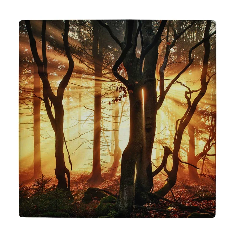  زیر لیوانی  طرح جنگل پاییزی کد    5775541_4193