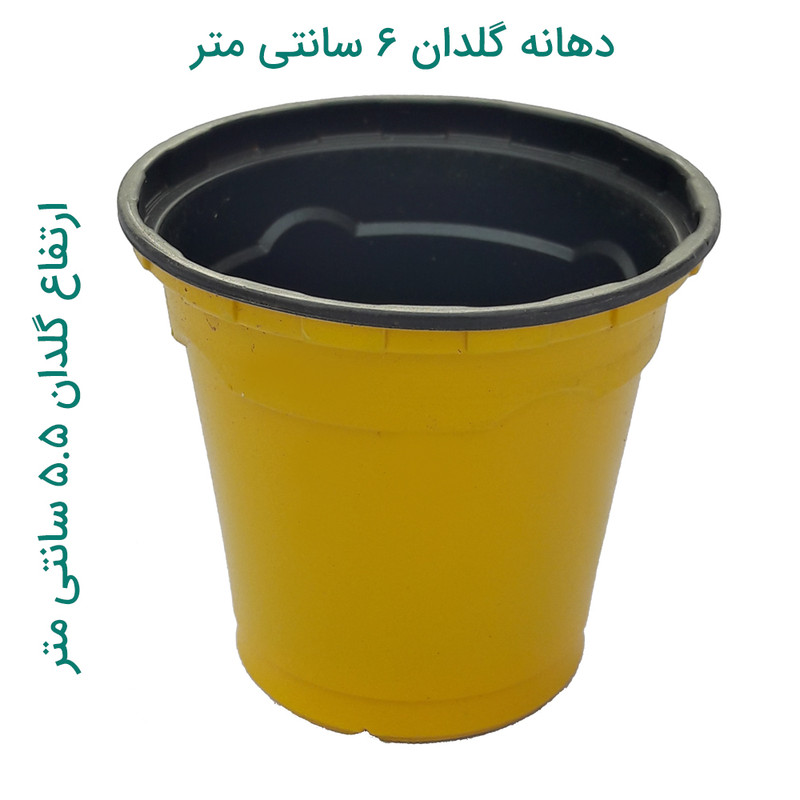 گلدان مدل ژله ای کد vnfrpot-6 مجموعه 12 عددی گلدان مدل ژله ای کد vnfrpot-6 مجموعه 12 عددی