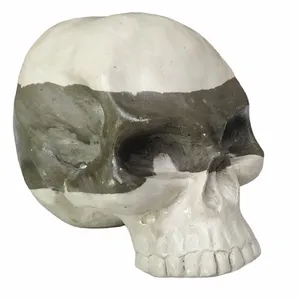 مجسمه مدل جمجمه