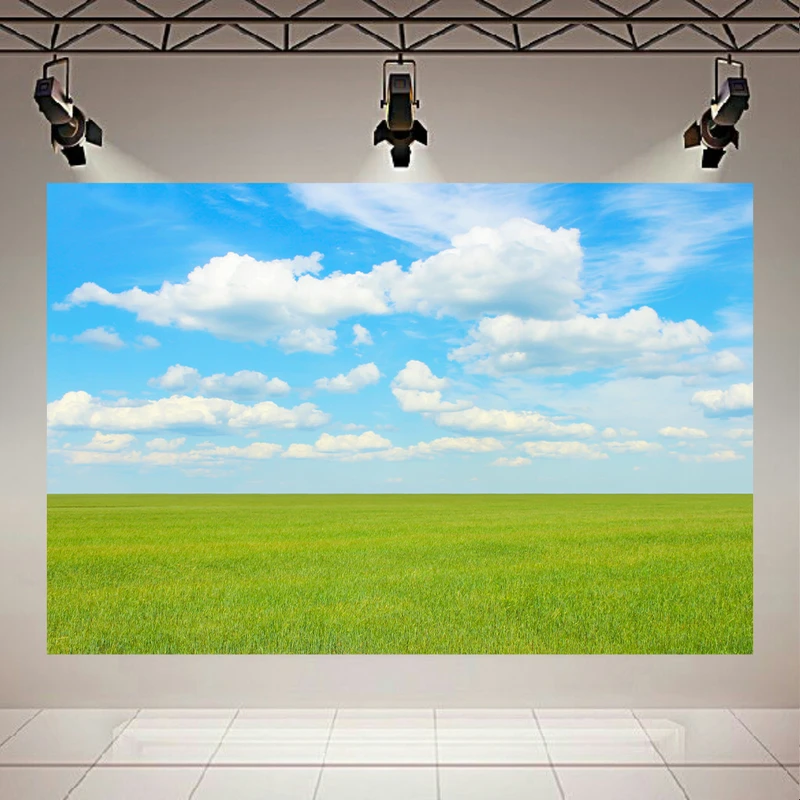 پوستر دیواری طرح چشم انداز تابستانی مدل دشت بیکران کد AR305498