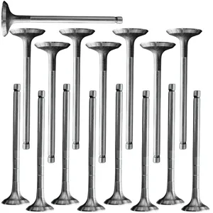 سوپاپ هوا و دود موتور خودرو اس تی وای ام مدل 002059 کد TU5 مناسب برای پژو ۲۰۶ تیپ ۵ ، ۲۰۷ رانا بسته ۱۶ عددی