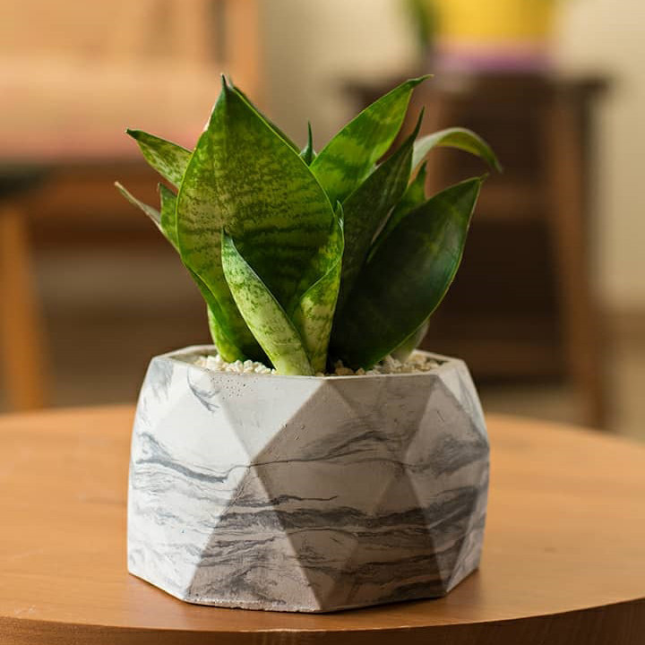 گلدان مدل SPL02-B