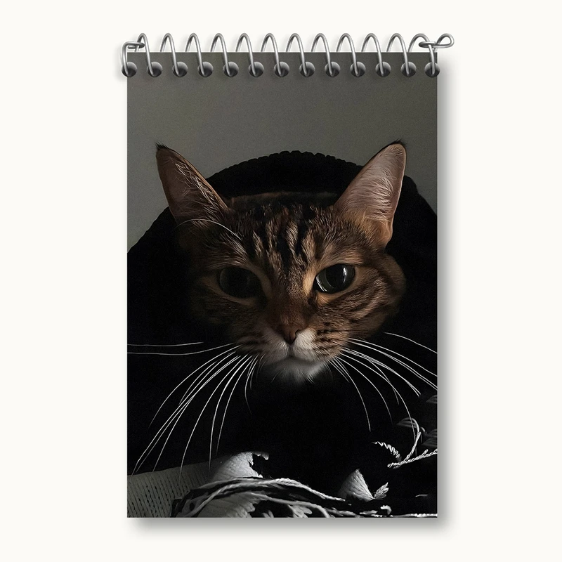 دفتر یادداشت 50 برگ خندالو مدل گربه (Cat) کد F1346