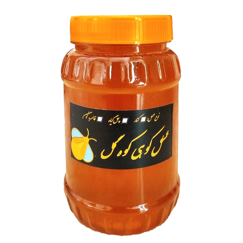 عسل طبیعی کنار کوه گل - یک کیلوگرم