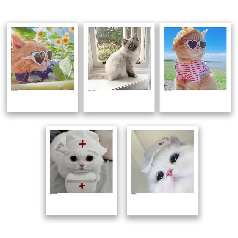 آویز تزیینی عرش مدل فانتزی گربه بامزه کد Asa303 مجموعه پنچ عددی