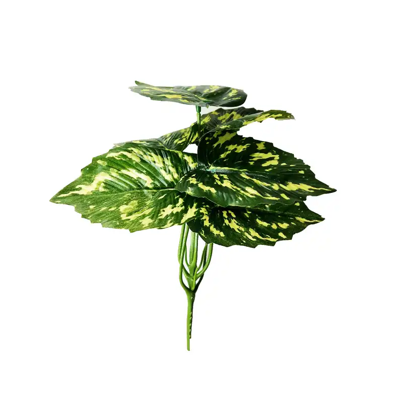 گیاه تزیینی آکواریوم مدل ابلق کد 1006