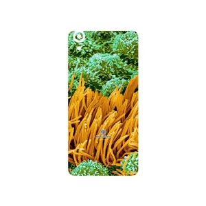 MAHOOT Atom Universe 6 Cover Sticker for Huawei Y6 II