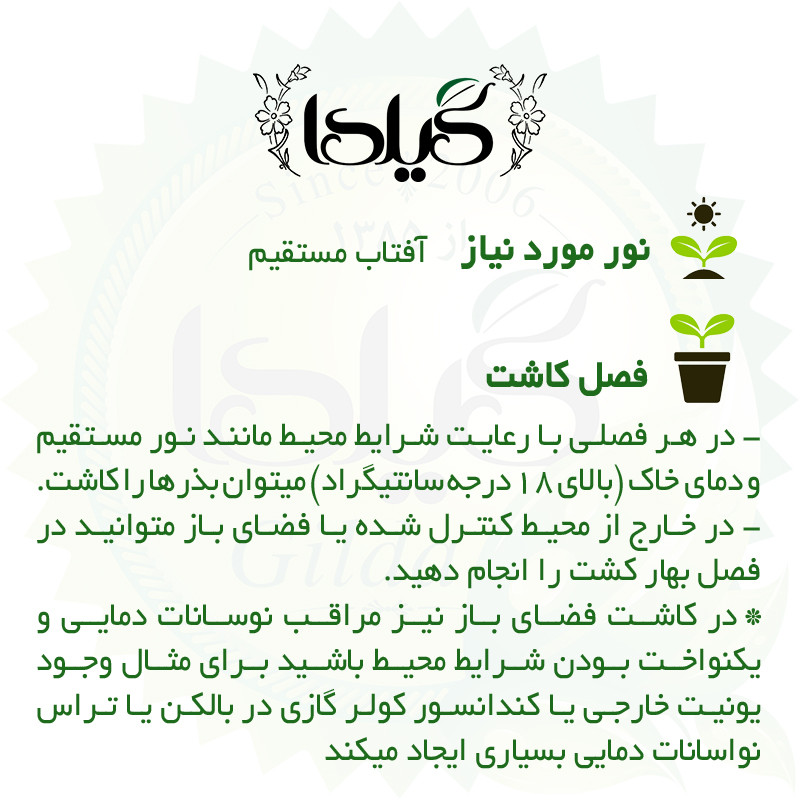 بذر گوجه گرد گیلدا کد 550