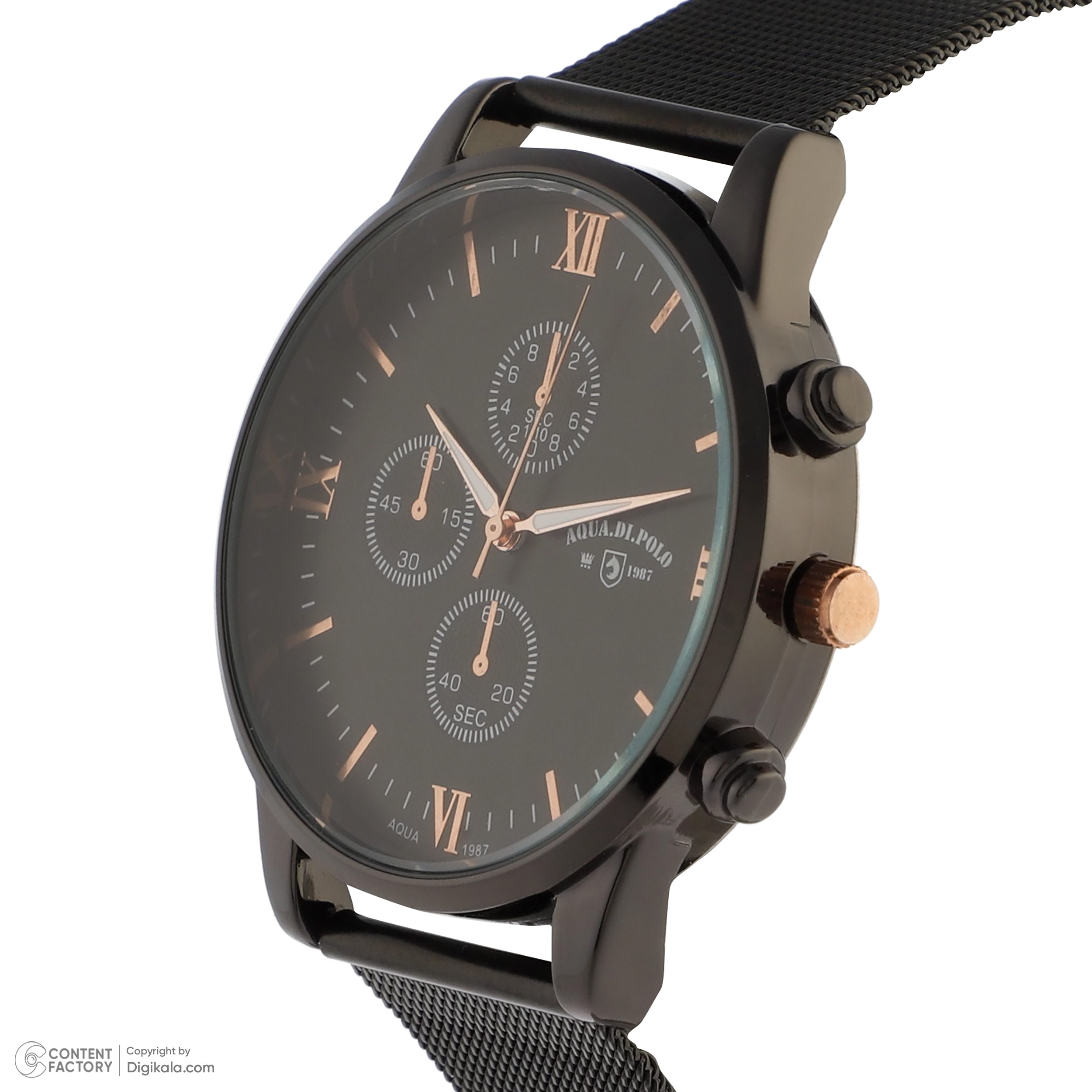 ساعت مچی عقربه‌ای مردانه آکوا دی پولو مدل APSV1-A5741-EH333