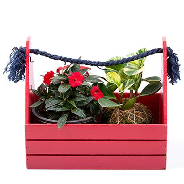 گیاه طبیعی کوکداما و گل بهاری مدل SB02 مجموعه دو عددی