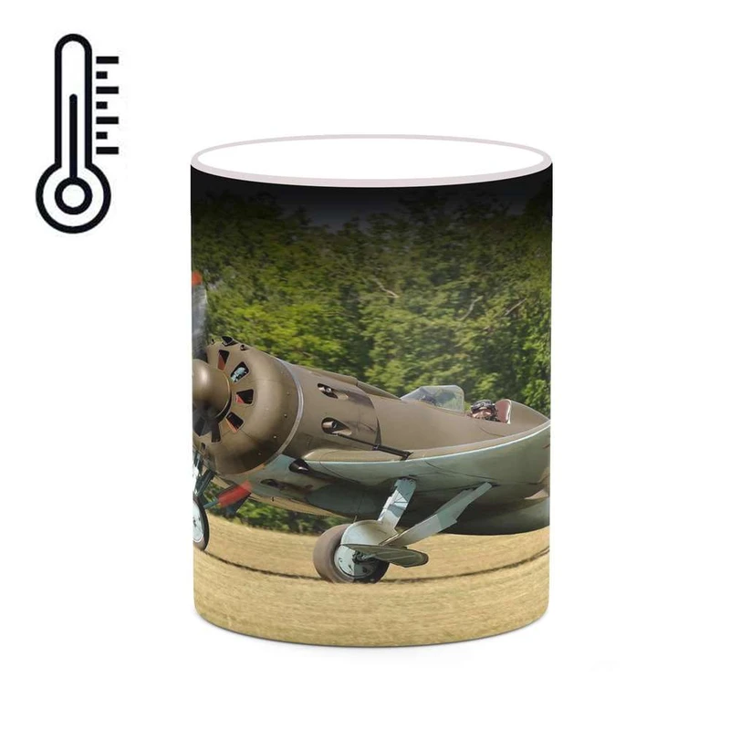 ماگ حرارتی کاکتی مدل هواپیمای جنگنده کد mgh20364