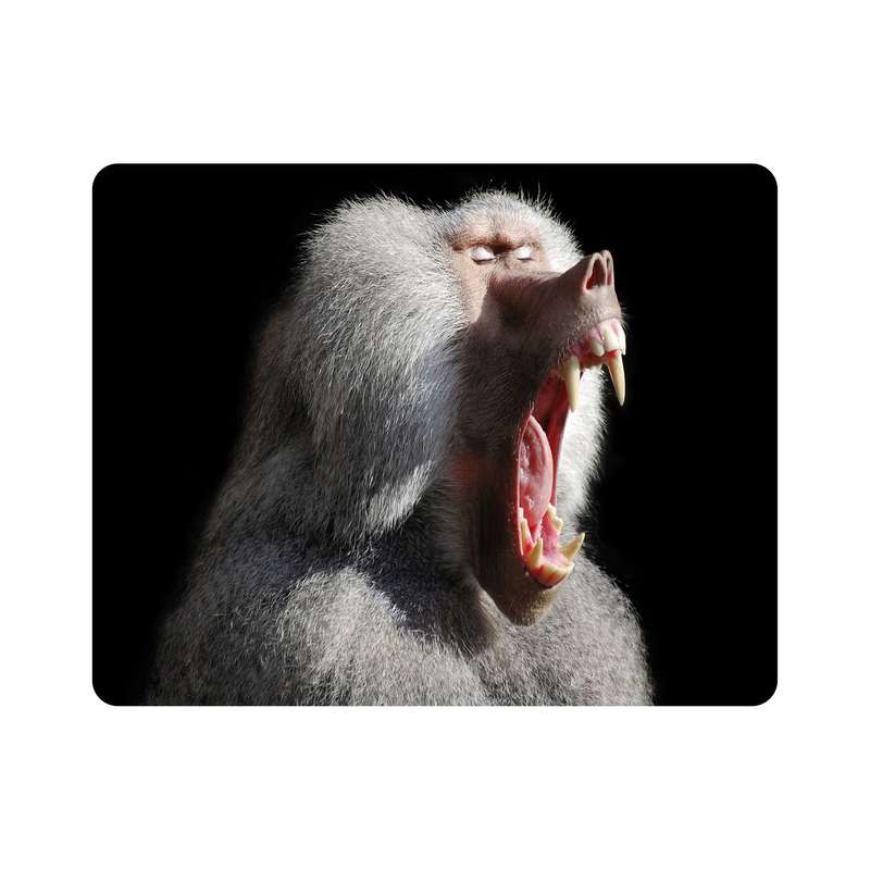 ماوس پد اطلس آبی  طرح میمون مدل T8000