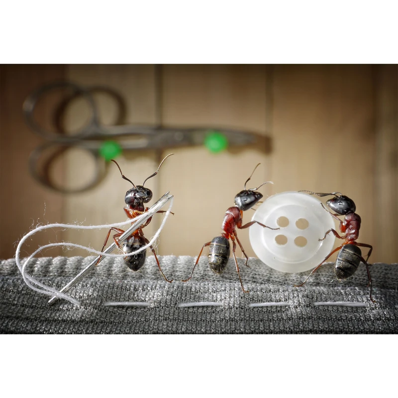 تابلو شاسی طرح مورچه و دکمه و سوزن نخ و قیچی مدل T6741