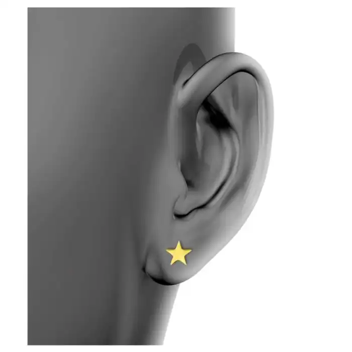 گوشواره زنانه مدل ستاره کد E1100