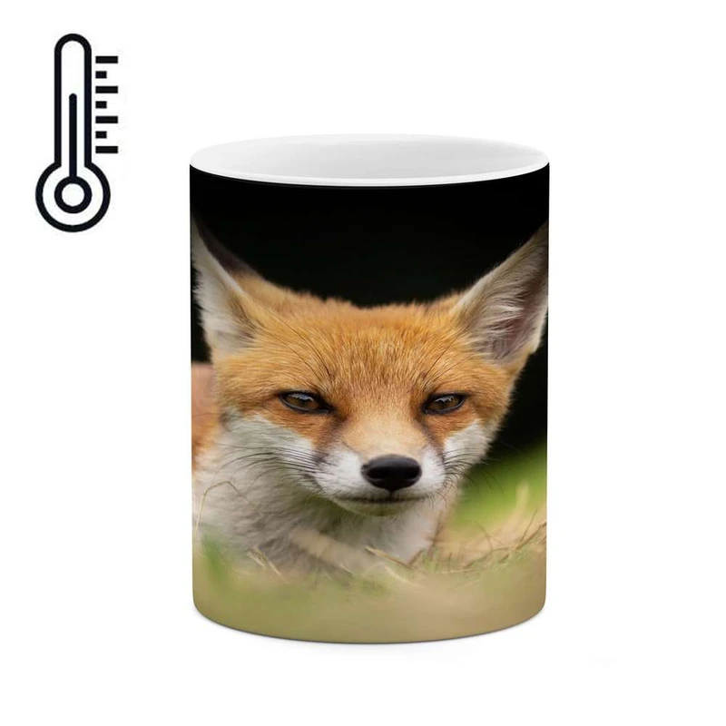 ماگ حرارتی کاکتی مدل روباه کد mgh17430