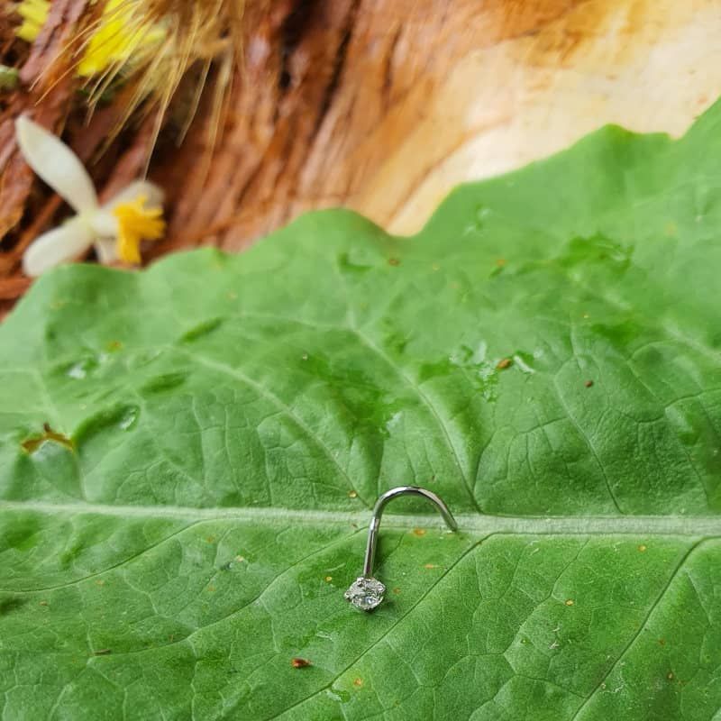 پیرسینگ بینی زنانه پایتخت مدل PS276 -  - 2