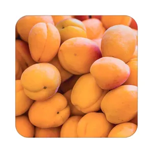 زیر لیوانی کاکتی طرح میوه مدل mp21375