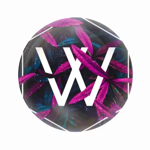 مگنت عرش طرح فانتزی وست ورد West world کد Asm4021