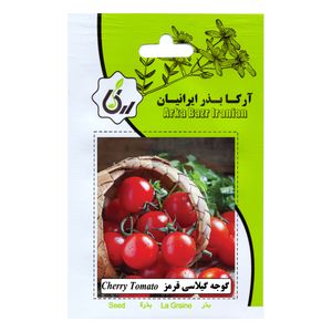 نقد و بررسی بذر گوجه گیلاسی قرمز آرکا بذر ایرانیان کد ARK-190 توسط خریداران