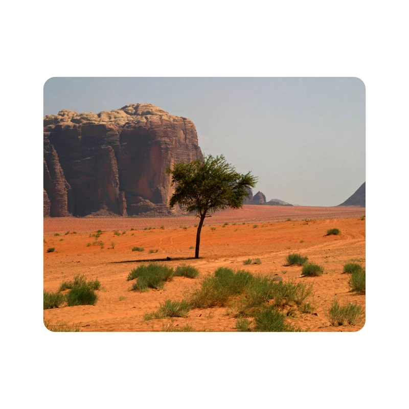 ماوس پد اطلس آبی طرح  بیابان و درخت و سبزه  مدل T6918