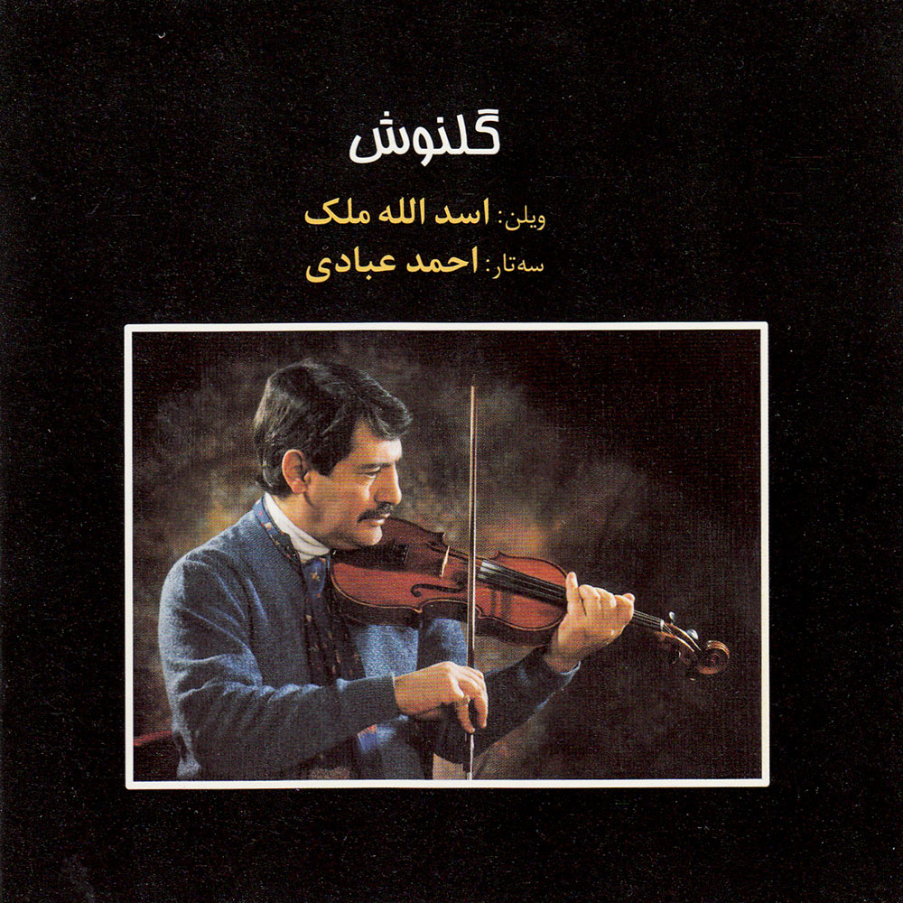 آلبوم موسیقی گلنوش اثر اسدالله ملک و احمد عبادی