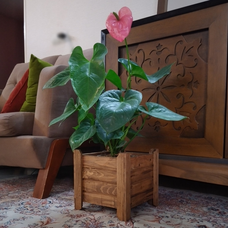 گلدان مدل 411