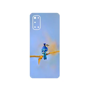 MAHOOT Cyanocitta cristata Cover Sticker for Realme 7 Pro