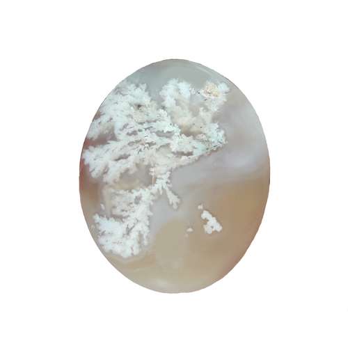 سنگ عقیق شجر کد 13