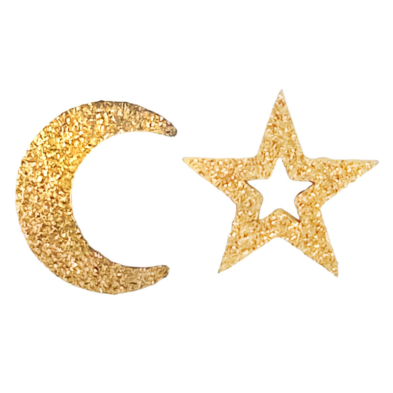 گوشواره زنانه مدل ماه و ستاره کد Z1