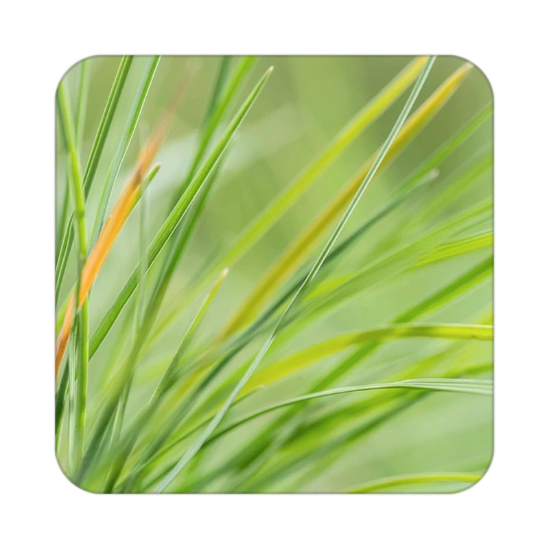 زیر لیوانی کاکتی طرح گل مدل mp16474