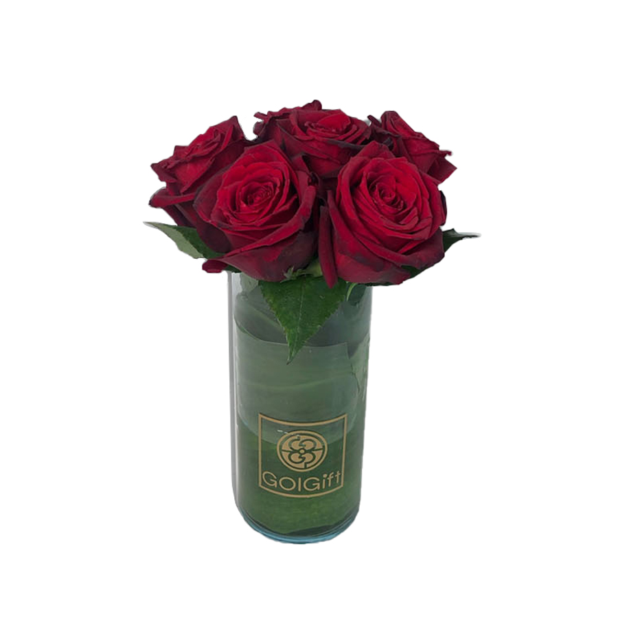 گلدان رز هلندی گل گیفت کد GG005
