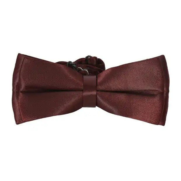 پاپیون مردانه مدل MDSS-CD7024
