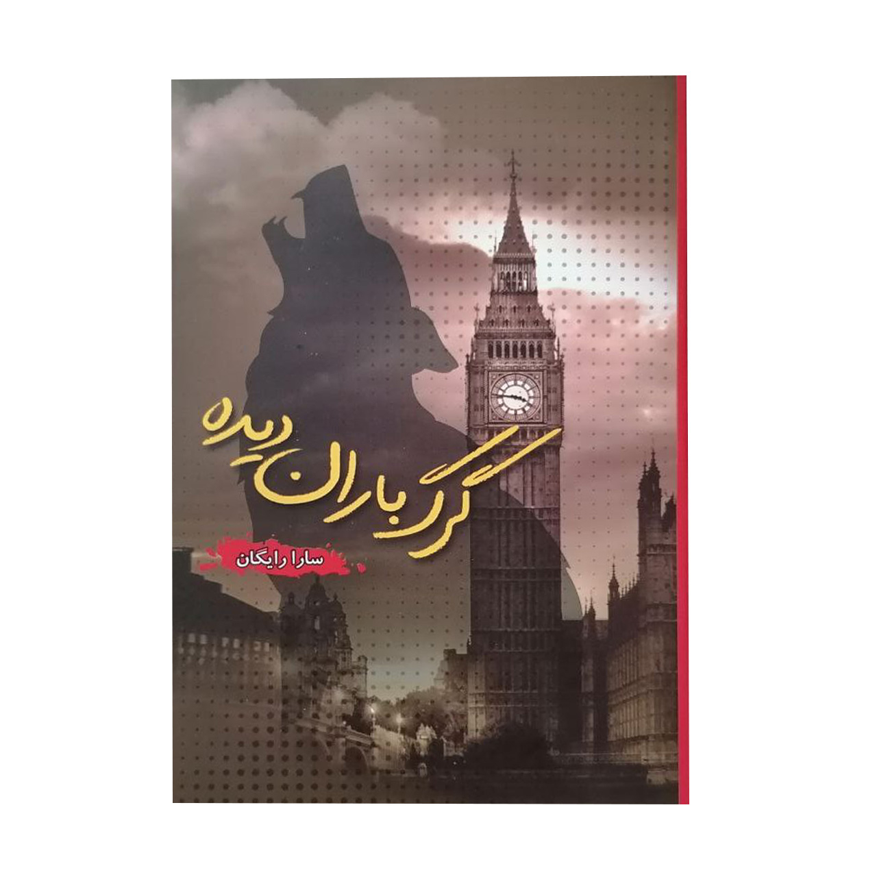 کتاب گرگ باران دیده اثر سارا رایگان انتشارات شقایق