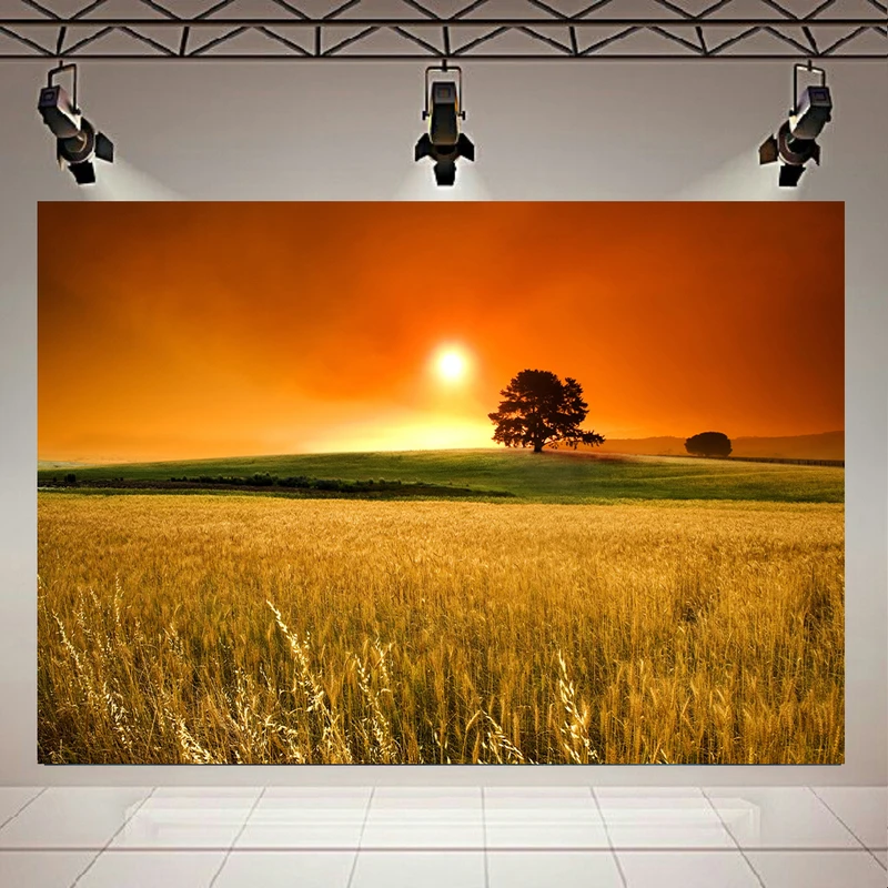 تابلو بوم طرح طبیعت مدل مزرعه گندم و غروب کد AR2628