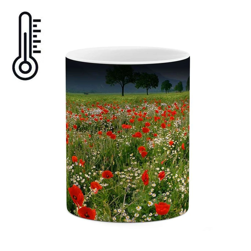 ماگ حرارتی کاکتی مدل مزرعه گل کد mgh10712