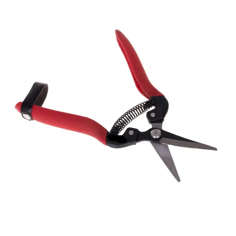 قیچی میوه چینی  مدل RH-185