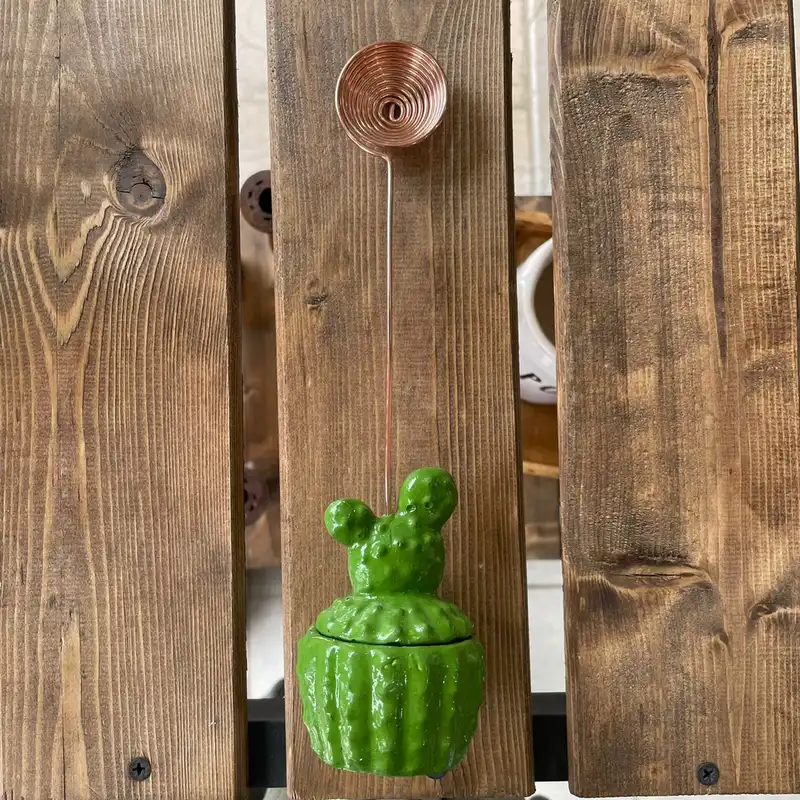 اسپند دودکن طرح کاکتوس کد sbz