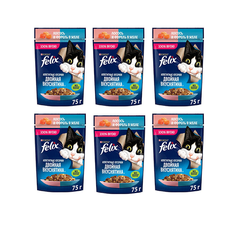 پوچ گربه بالغ فلیکس مدل in Jelly طعم ماهی سالمون و قزل‌آلا وزن 450 گرم بسته 6 عددی