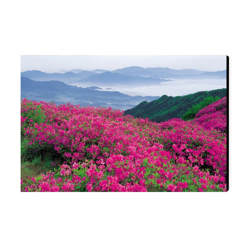 تابلو شاسی عرش مدل فانتزی منظره طبیعت کد As4951