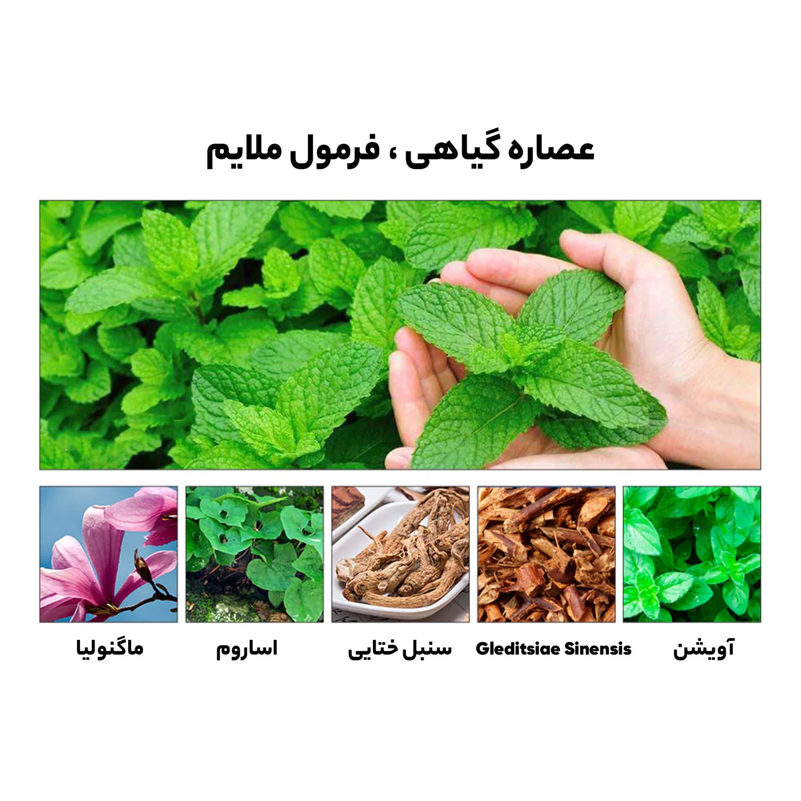 محلول سفید کننده دندان لنبنا مدل اسنس حجم 10 میلی لیتر -  - 5