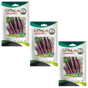 بذر هویج بنفش گلبرگ پامچال کد GPF-317 مجموعه 3 عددی