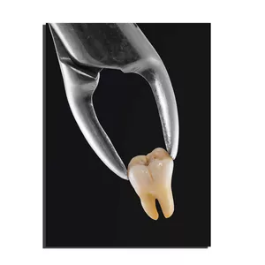 تابلو شاسی مدل دندانپزشکی کد 2233